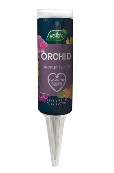 Westland Orchid Droplet Feeder 40ml
